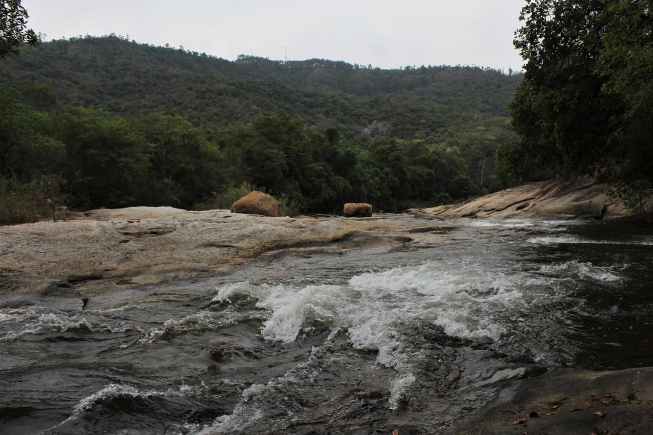 Lions Rock Rapids - Lodge 雾观 外观 照片