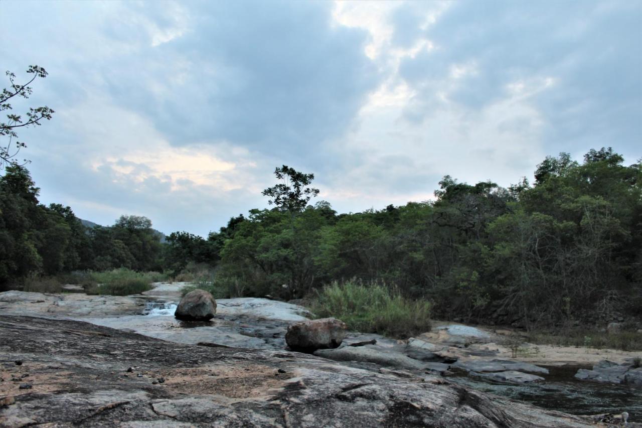Lions Rock Rapids - Lodge 雾观 外观 照片
