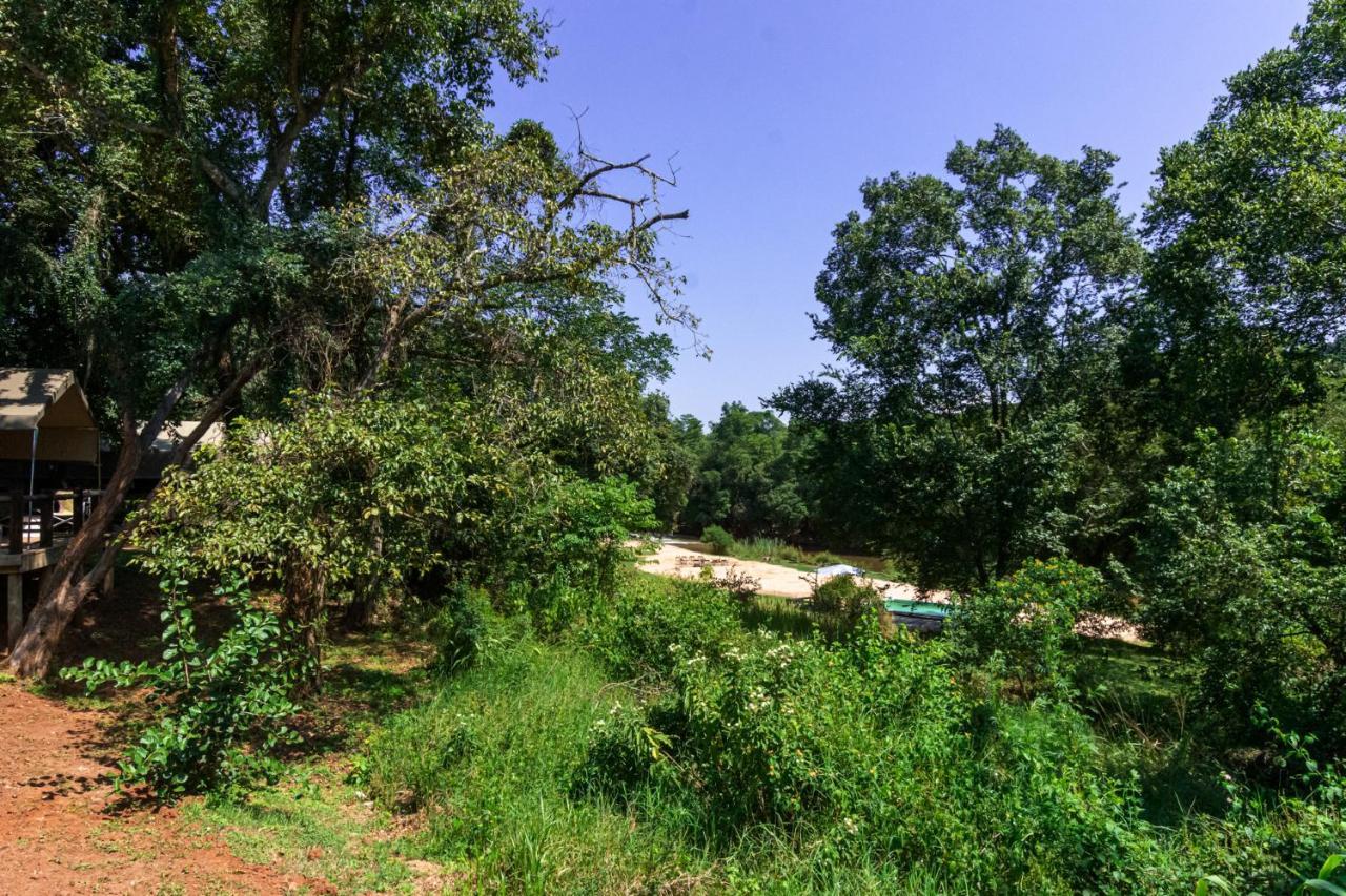 Lions Rock Rapids - Lodge 雾观 外观 照片